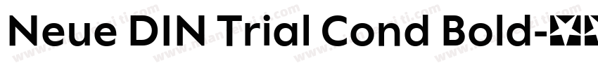 Neue DIN Trial Cond Bold字体转换
